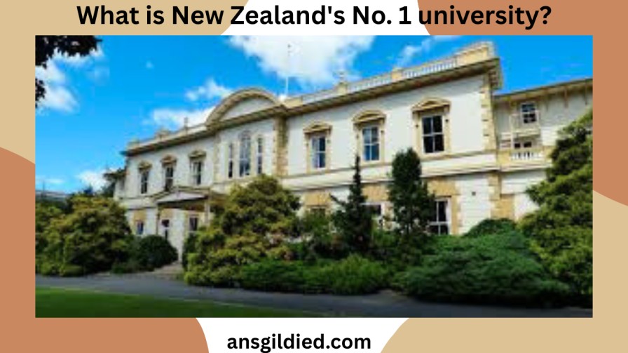 What is New Zealand's No. 1 university?