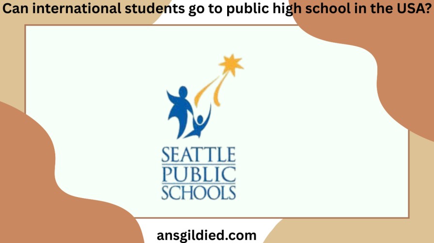 Can international students go to public high school in the USA?