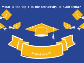 What is the top 4 in the University of California?