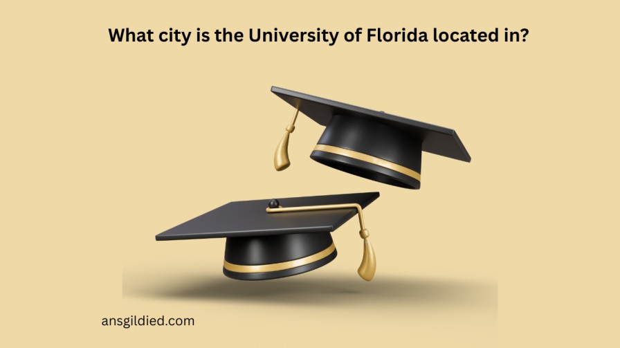 What city is the University of Florida located in?