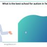 What is the best school for autism in Texas?