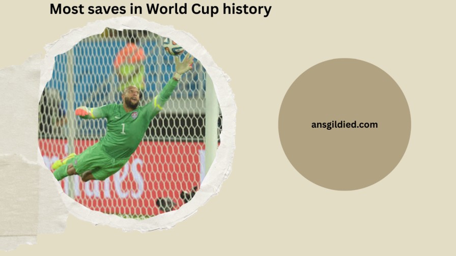 Most saves in World Cup history